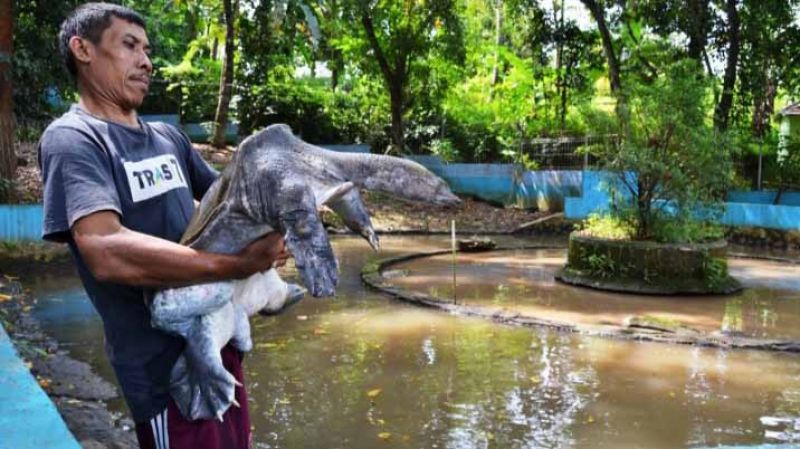 Menikmati Pesona Alam di Objek Wisata Cikuya Cirebon